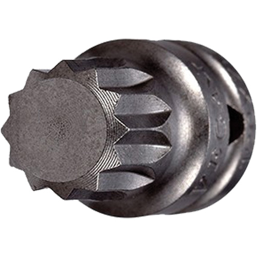 Embout &agrave; ins&eacute;rer, Triple carr&eacute;, 5 x 3/4" lo, Prise 1/4" Pathway Supply LP