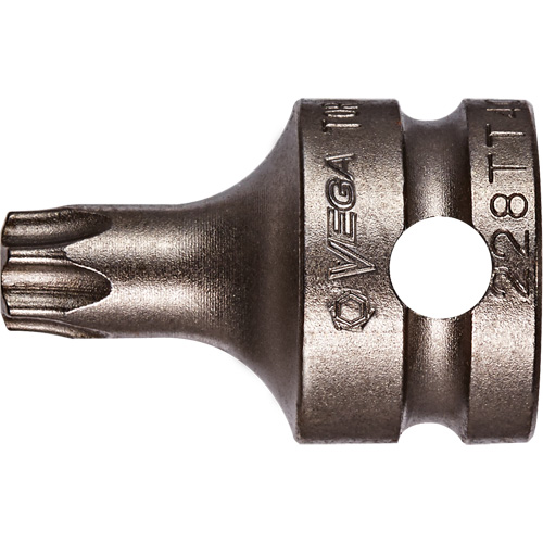 Embout &agrave; ins&eacute;rer, Torx inviolable, 25 x 1" lo, Prise 3/8" Pathway Supply LP
