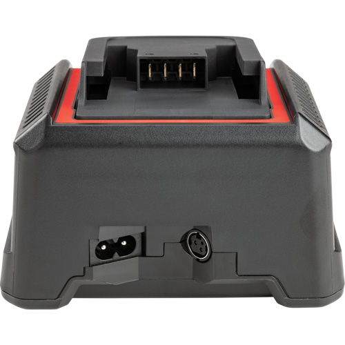2.5 Ah & 5.0 Ah Battery Charger, 120 V, Lithium-Ion Pathway Supply LP