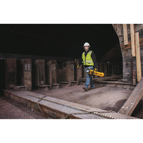 20V Max Cordless Tripod Light, LED, 3000 Lumens, Plastic Housing Pathway Supply LP