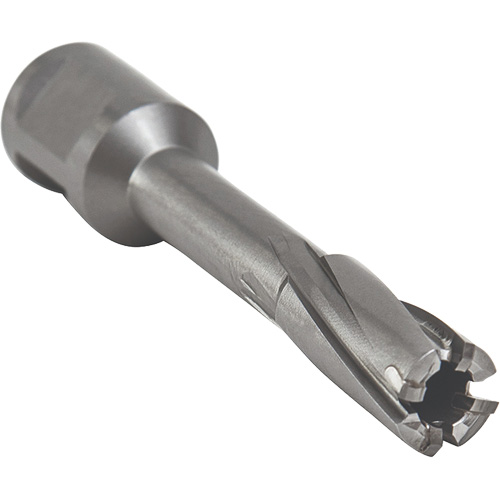Core Cut Annular Cutter with Weldon Shank, 12 mm Diameter, Carbide, 55 mm Depth of Cut, 3/4" Shank Pathway Supply LP