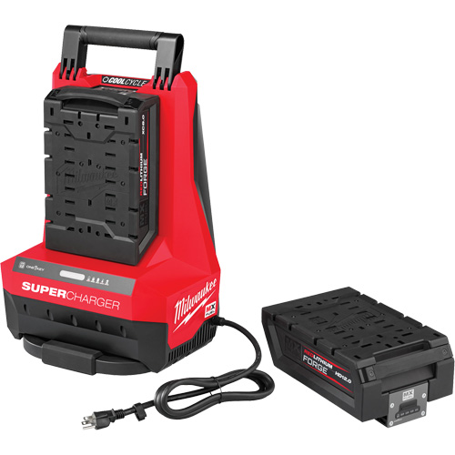 MX Fuel Super Charger, 120 V, Lithium-Ion Pathway Supply LP
