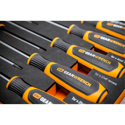 Jeu de tournevis bimat&eacute;riau Torx dans un plateau de rangement en mousse, 10 mcx Pathway Supply LP