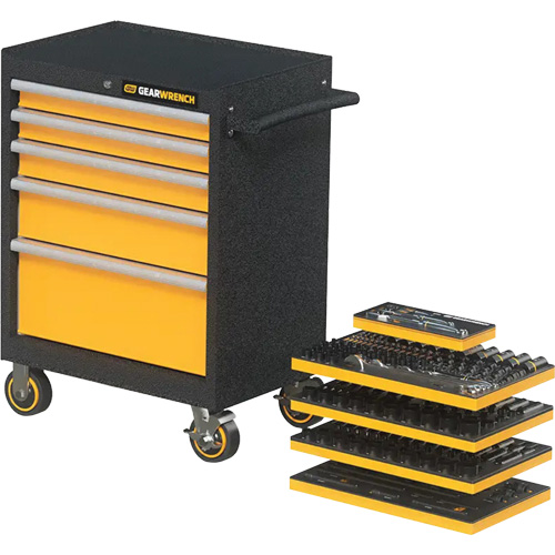 Mechanics Tool Set in Modular Foam Trays with Storage Unit, 247 Pieces Pathway Supply LP
