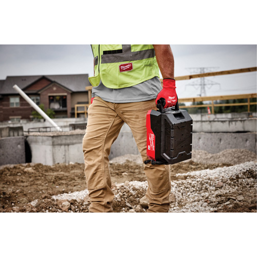 MX FUEL Rapid Charger, 120 V, Lithium-Ion/NiCd/Ni-MH Pathway Supply LP