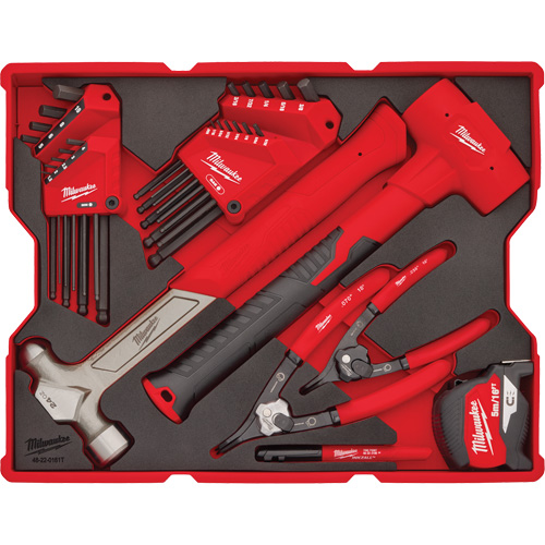 Hex Key & Hammer Set with Tray for PACKOUT Drawers Pathway Supply LP