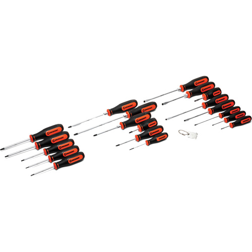 Dual Material Screwdriver Set, 20 Pcs. Pathway Supply LP