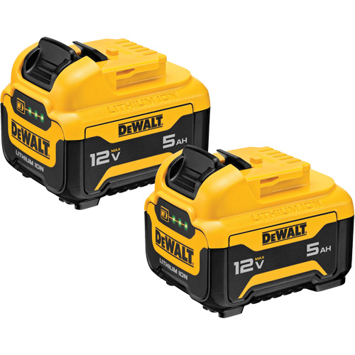 Bloc-piles Max*, Lithium-ion, 12 V, 5 Ah Pathway Supply LP