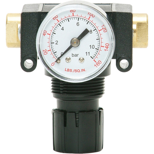 MODULAIR 200 Acetal Piston Regulator, 1/4" NPT, 150 PSI Max. PSI, In Line/Modular Pathway Supply LP