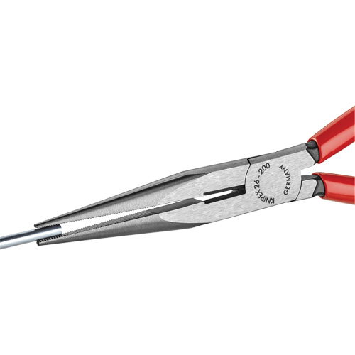 Pince &agrave; bec long avec coupe-fil, 8" lo Pathway Supply LP