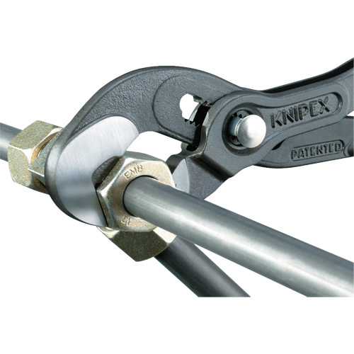 Pince Raptor, 10" Pathway Supply LP