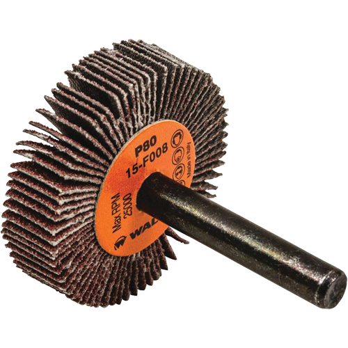 Disques &agrave; lamelles - Meules &agrave; lamelles Coolcut, Oxyde d'aluminium, Grain 80, 1-1/2" x 3/8" x 1/4" Pathway Supply LP