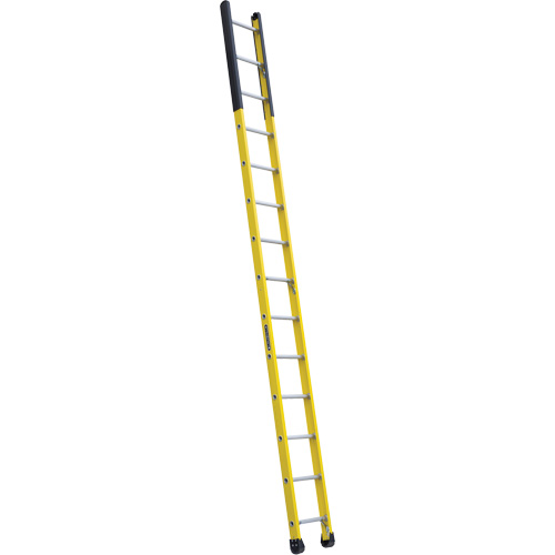 Single Manhole Ladder, 14', Fibreglass, 375 lbs., CSA Grade 1AA Pathway Supply LP