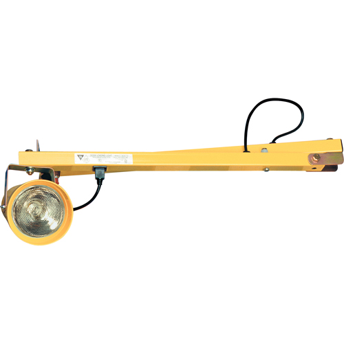Lampes pour les quais, Bras 40", Ampoule Incandescente, Polycarbonate Pathway Supply LP