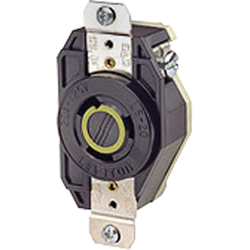 Single Flush 2-Pole 3-Wire Grounding  Receptacle Pathway Supply LP