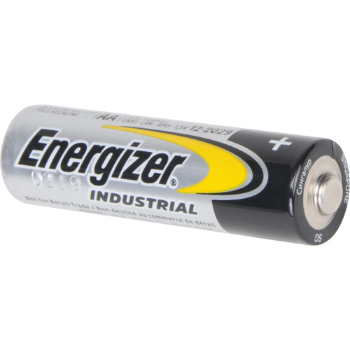 Alkaline Industrial Batteries, AA, 1.5 V Pathway Supply LP
