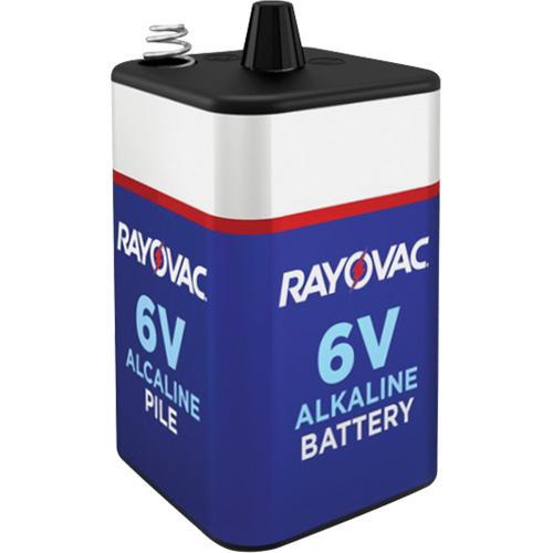 Alkaline Battery with Spring Terminals, D, 6 Pathway Supply LP