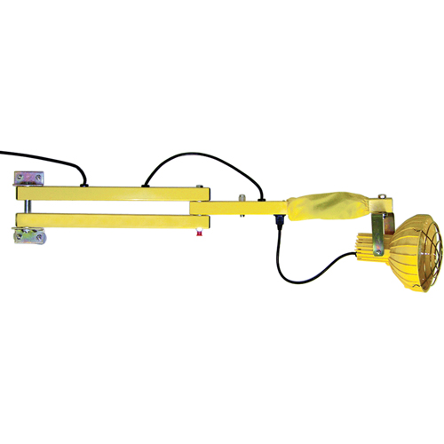 Lampes avec bras flexible pour quais, Ampoule Incandescente, Bras 60" Pathway Supply LP