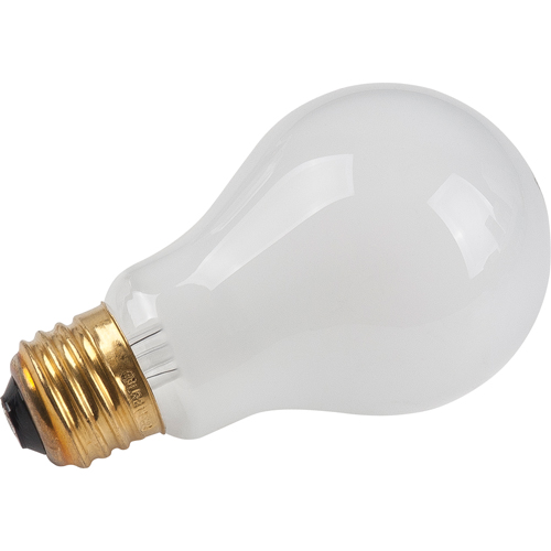 Economy Line Incandescent Lamps Pathway Supply LP