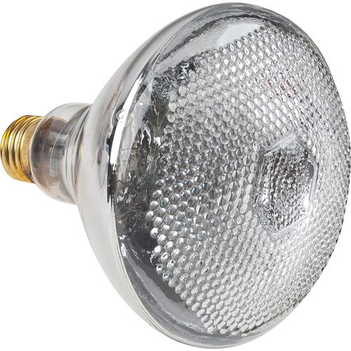 Economy Line Incandescent Lamps Pathway Supply LP