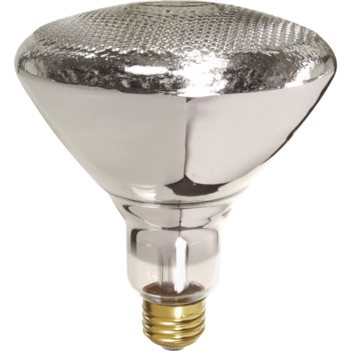 Economy Line Incandescent Lamps Pathway Supply LP