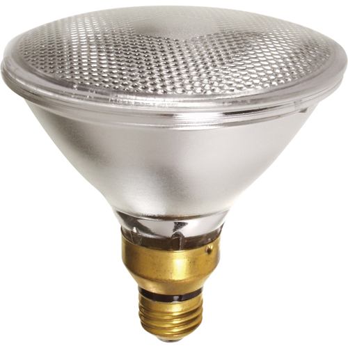 Economy Line Lamps Pathway Supply LP