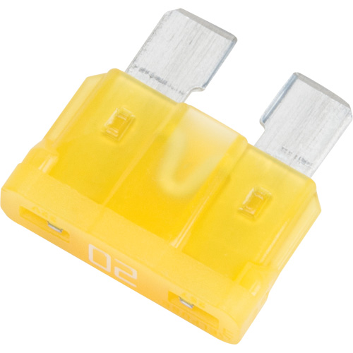 Automotive Nylon Fuses, Plug, 20 Amps, 32 V Pathway Supply LP