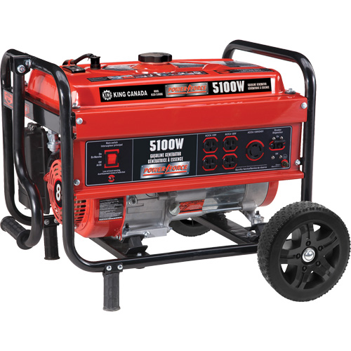 Generator with Wheel Kit, 5100 W Surge, 4000 W Rated, 120 V/240 V, 15 L Tank Pathway Supply LP