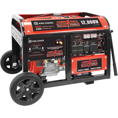 Gasoline/Propane Generator with Electric Start Pathway Supply LP