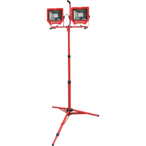 Baladeuses jumel&eacute;es avec tr&eacute;pied, DEL, 72 W, 8000 lumens, Boîtier en Aluminium Pathway Supply LP