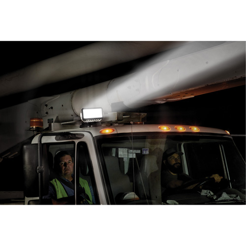 Projecteur orientable polyvalent &agrave; t&eacute;l&eacute;commande, DEL, 4250 lumens Pathway Supply LP