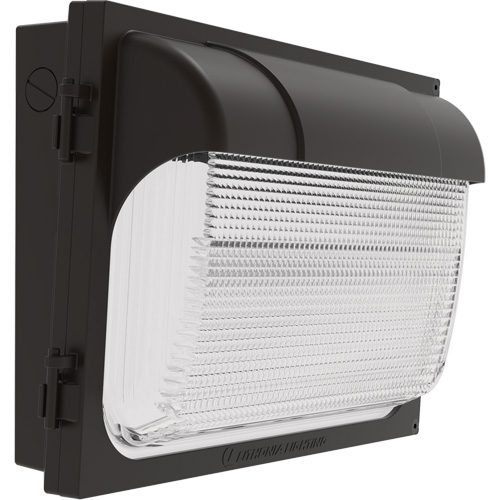 TWX Wall Luminaire, LED, 480 V, 9 W - 54 W, 14" H x 18" W x 5" D Pathway Supply LP