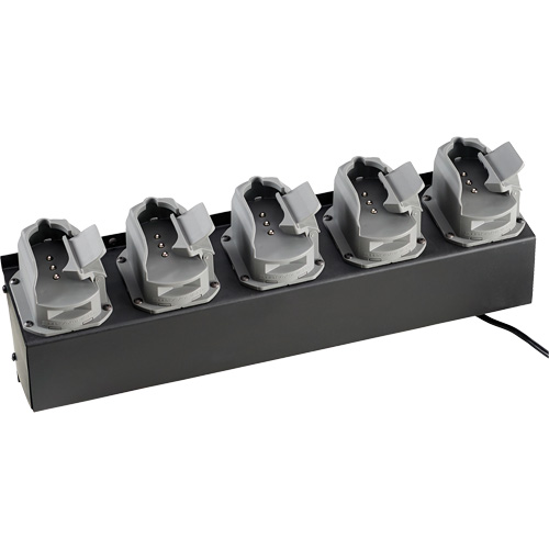 Chargeur de batteries de lampe de poche Survivor X Pathway Supply LP