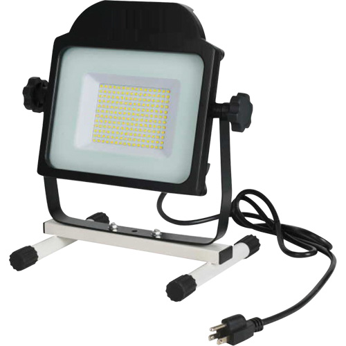 Projecteur, DEL, 100 W, 10000 lumens Pathway Supply LP