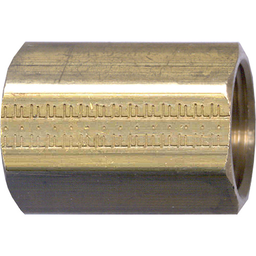 Pipe Coupling, Brass, 3/4" Pathway Supply LP