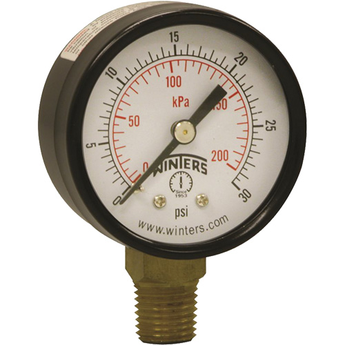 Economy Pressure Gauge, 2" , 0 - 30 psi, Bottom Mount, Analogue Pathway Supply LP