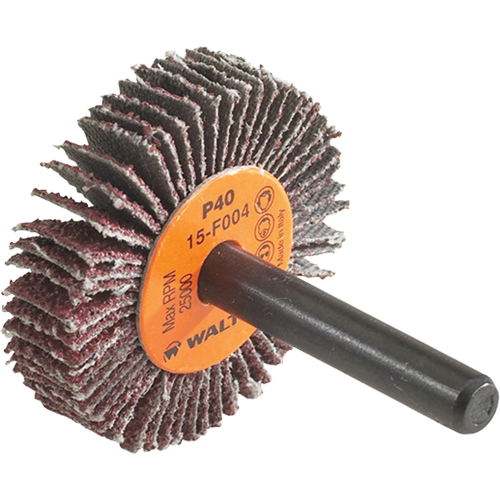 Disque &agrave; lamelles Coolcut, Oxyde d'aluminium, Grain 60, 1-1/2" x 3/8" x 1/4" Pathway Supply LP