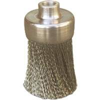 Brosses plates, rondes ou Roto Pathway Supply LP