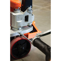 Pistolet graisseur robuste &agrave; levier, 14 oz Capacit&eacute; Pathway Supply LP