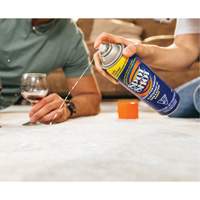 Spot Shot&reg; Professional Instant Carpet Stain Remover, 496 g, Aerosol Can Pathway Supply LP