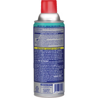 Bike Chain Lubricant, Aerosol Can Pathway Supply LP