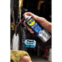 Bike Chain Lubricant, Aerosol Can Pathway Supply LP