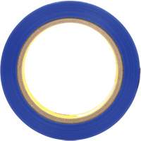 Polyester Tape 8901, 25.4 mm (1") x 66 m (216'), Blue Pathway Supply LP