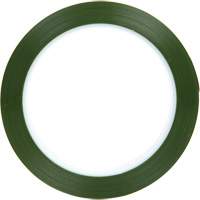 Polyester Tape, Polyester, 50.8 mm (2") W x 66 m (216') L, 1.9 mils Thick Pathway Supply LP