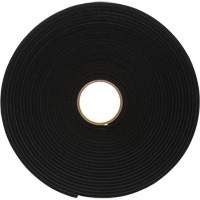 Ruban de mousse en vinyle 4504, 25,4 mm (1") la x 16,5 m (54') lo, 250 mils, Noir Pathway Supply LP
