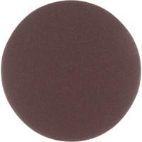 Disque en toile Stikit, 5" dia., Grain P220, Oxyde d'aluminium Pathway Supply LP