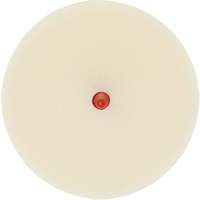Scotch-Brite Moulding Adhesive & Stripe Removal Disc, 7501, 4" Dia. Pathway Supply LP