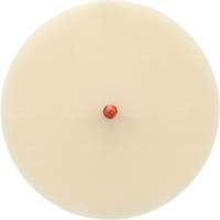 Scotch-Brite Moulding Adhesive and Stripe Removal Disc 7502, 6" Dia. Pathway Supply LP