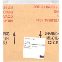 1" x 2" Roto Peen Flap Assembly, TC 330 Pathway Supply LP