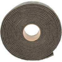 Ruban de nettoyage et de finition Scotch-Brite, Tr&egrave;s fin, 4" la x 30' lo Pathway Supply LP